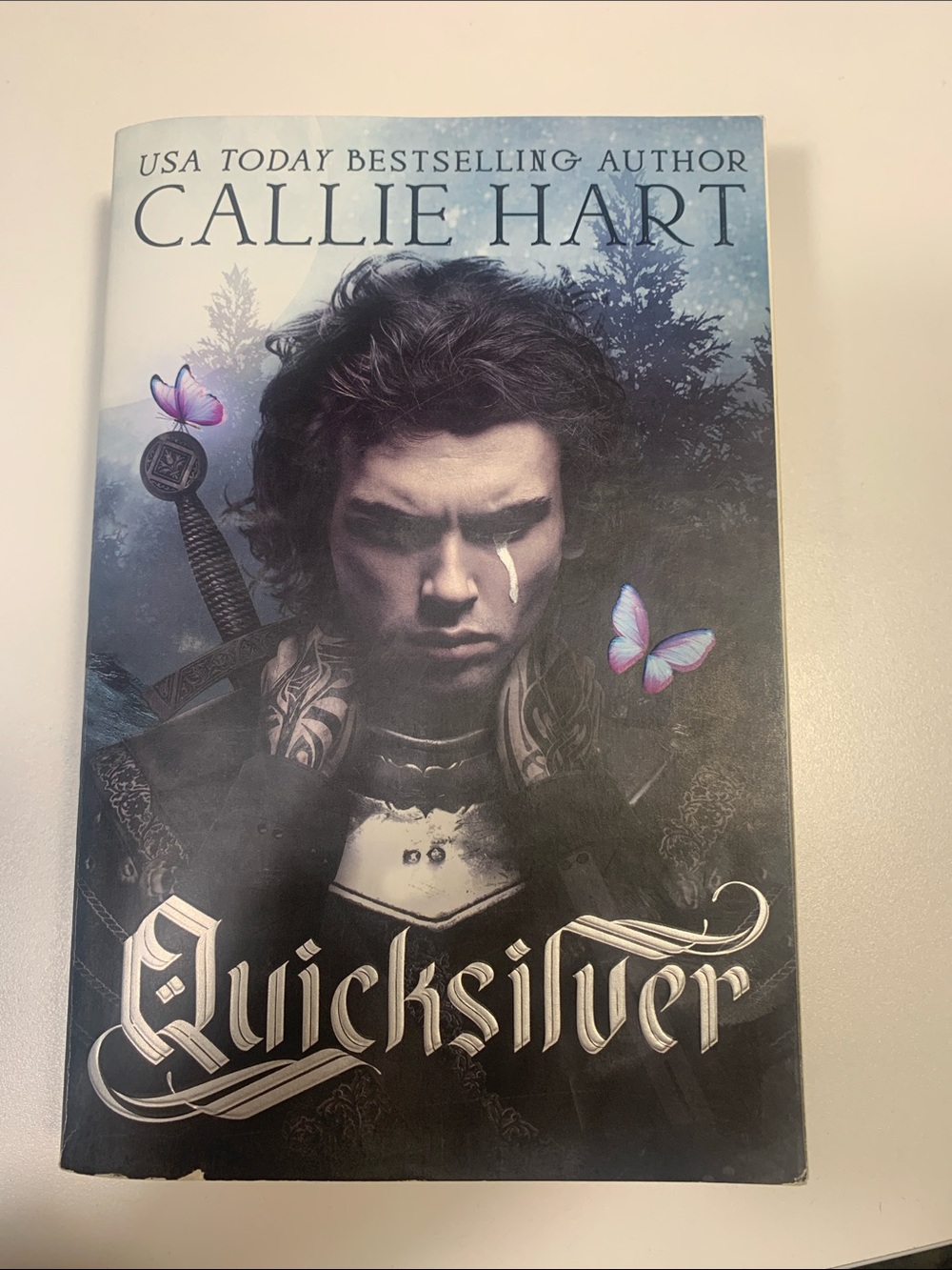 Quicksilver - Blue Cover Paperback Fantasy Novel